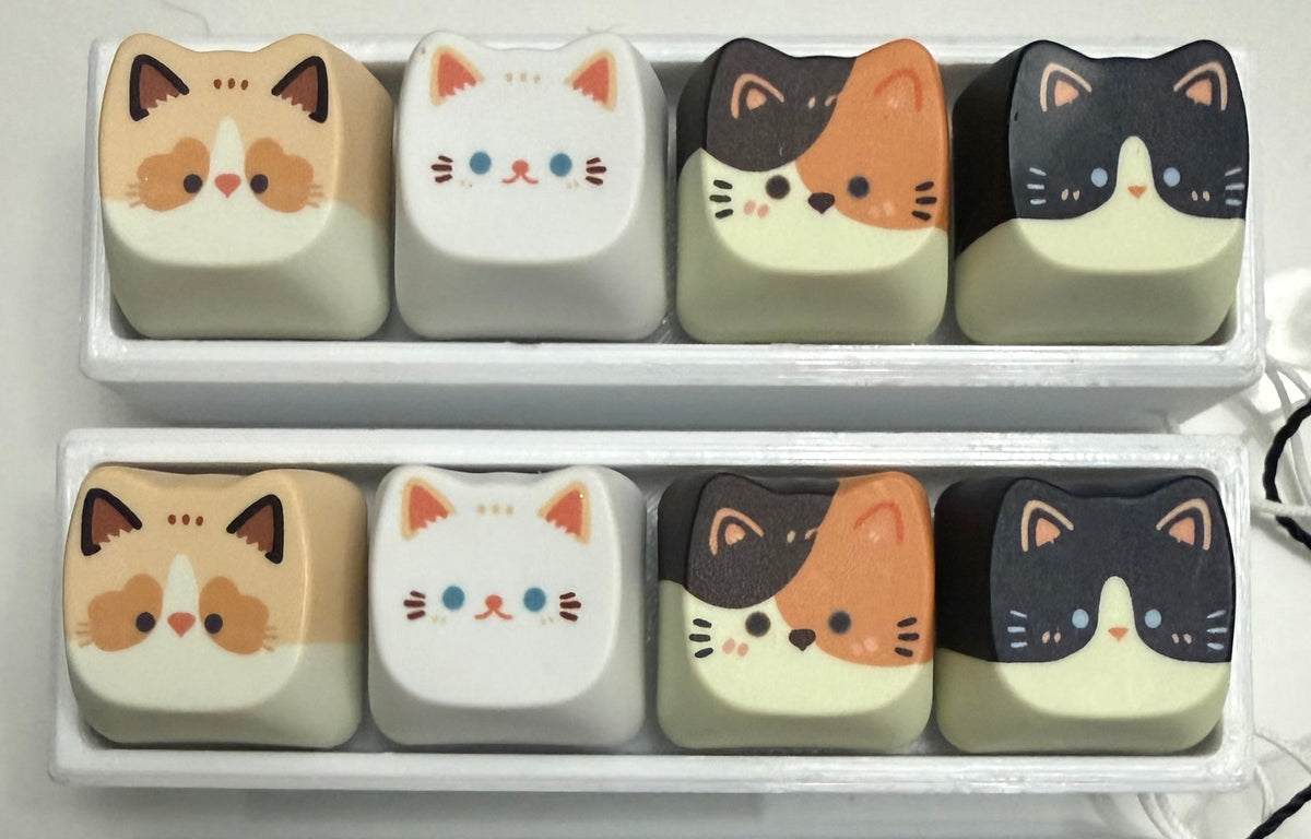 Cat Clicker Fidget