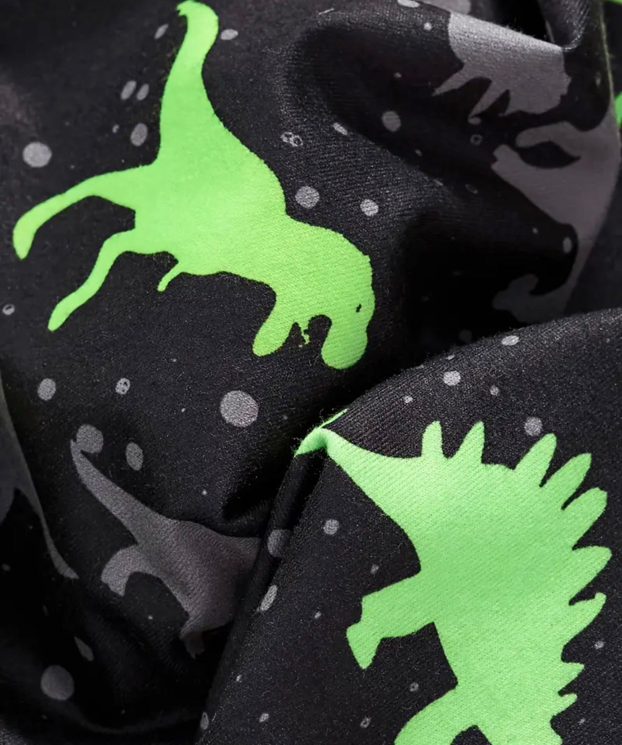 Dinosaur Print Pullover