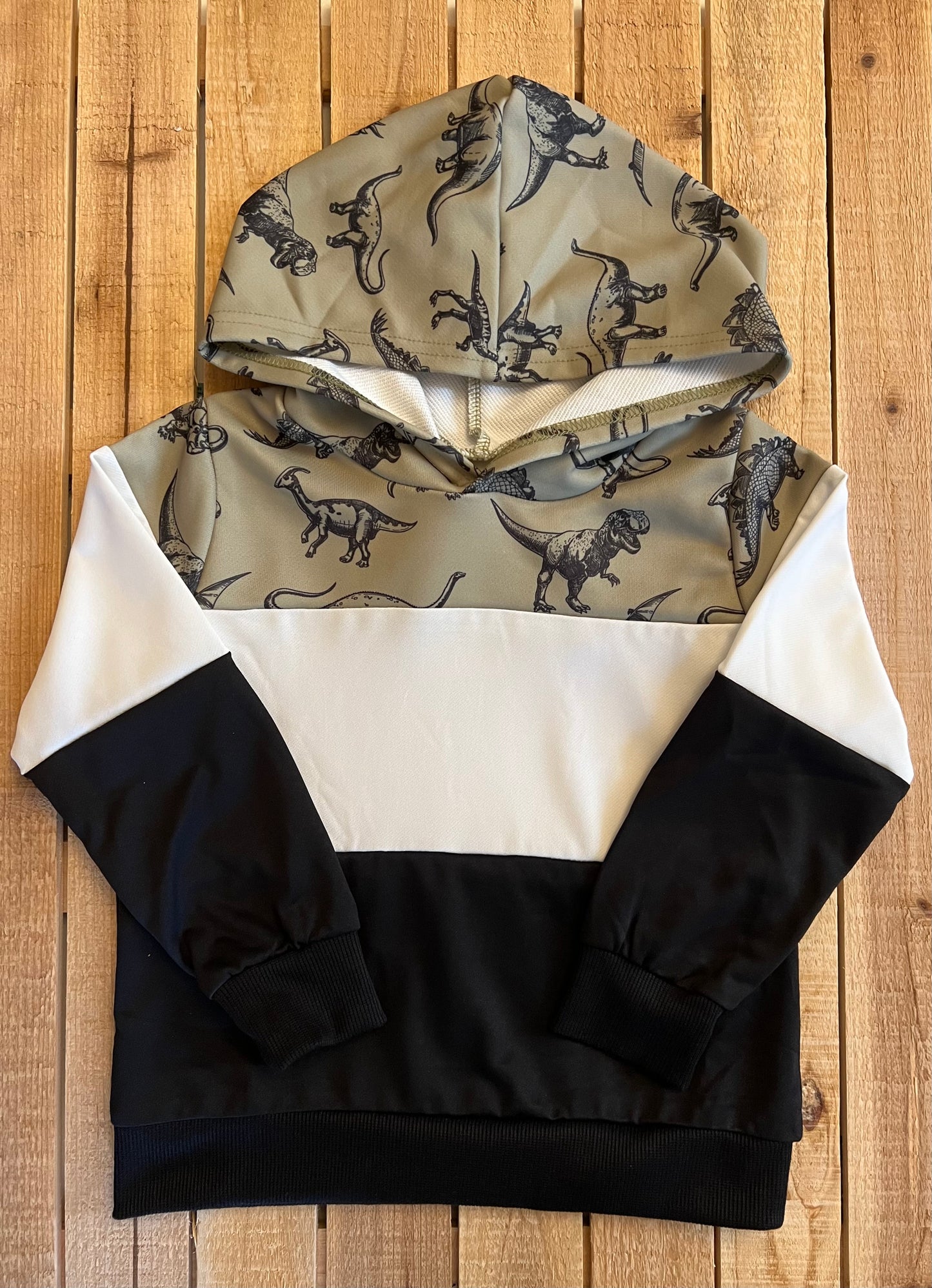 Dinosaur Color Block Hoodie