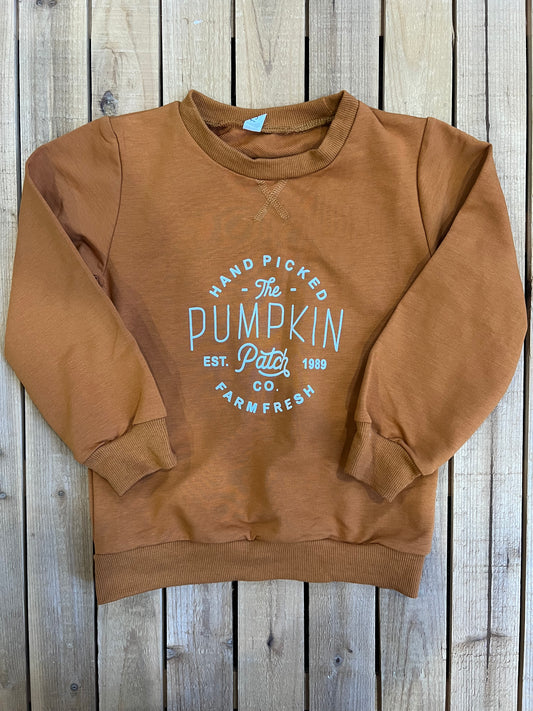 Pumpkin Patch Pullover