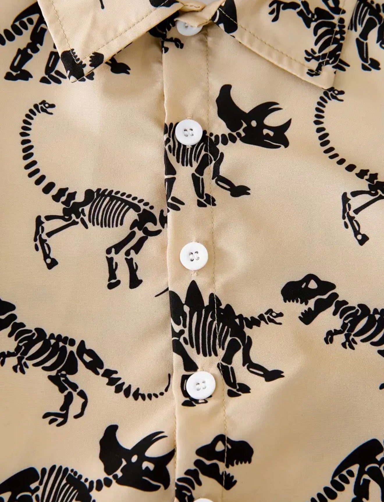 Dino Skeleton Set