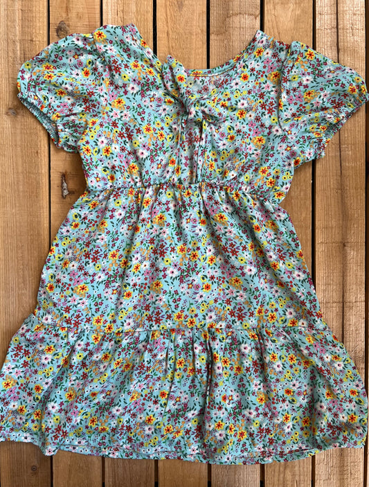 Puff Sleeve Tie Back Floral Dress