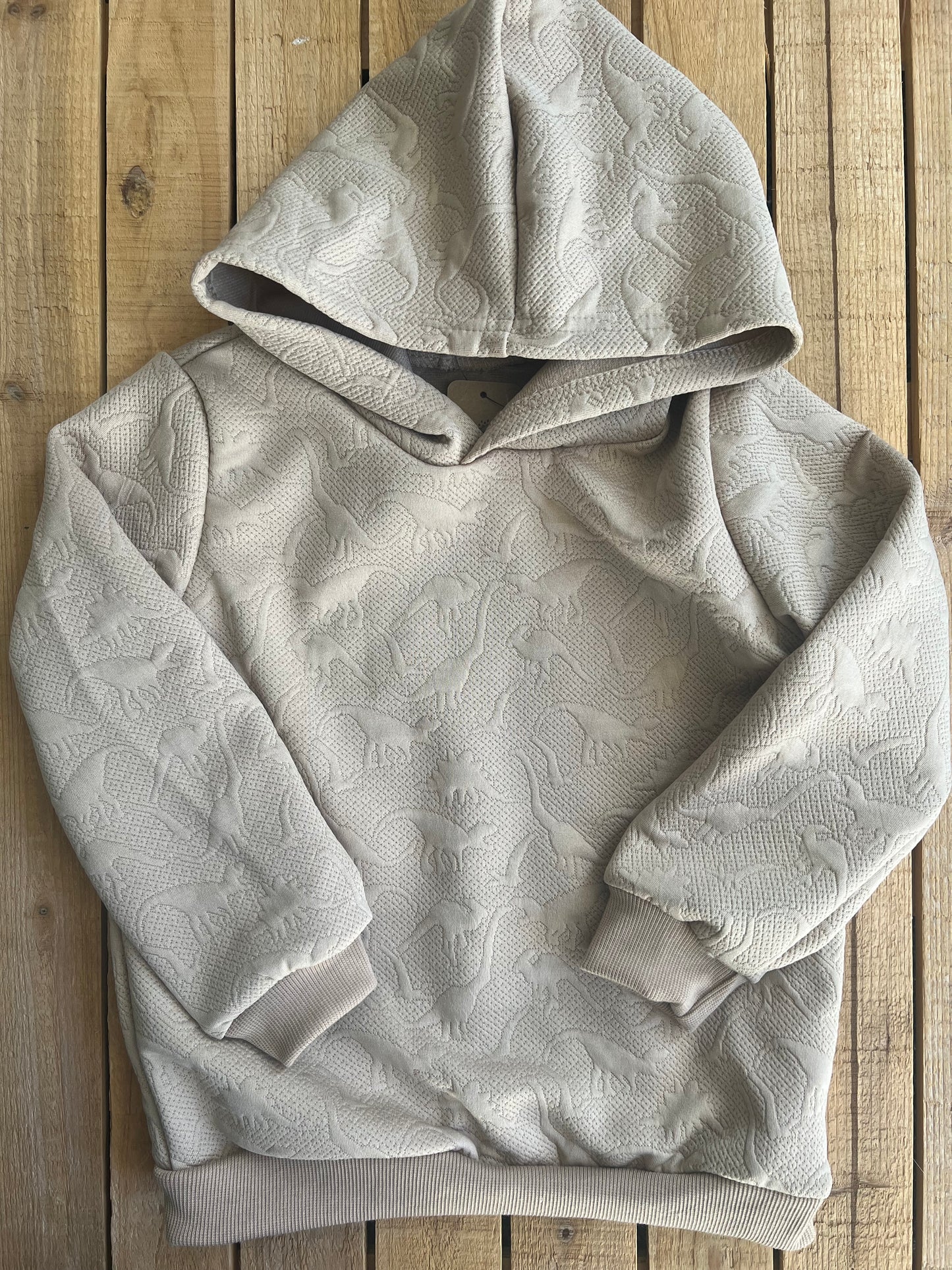 Textured Dinosaur Print Hoodie