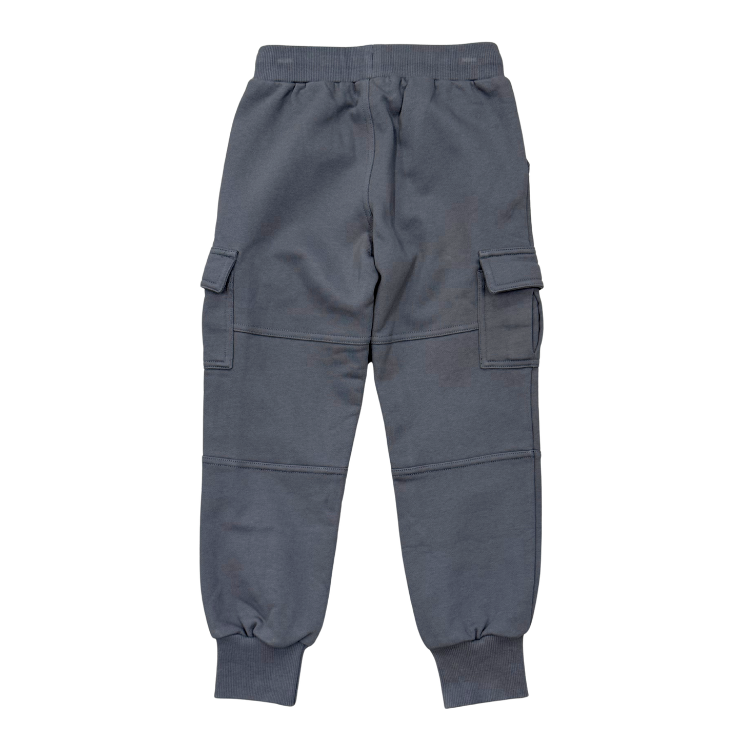 Boys Cargo Fleece Pant in Stormy Blue