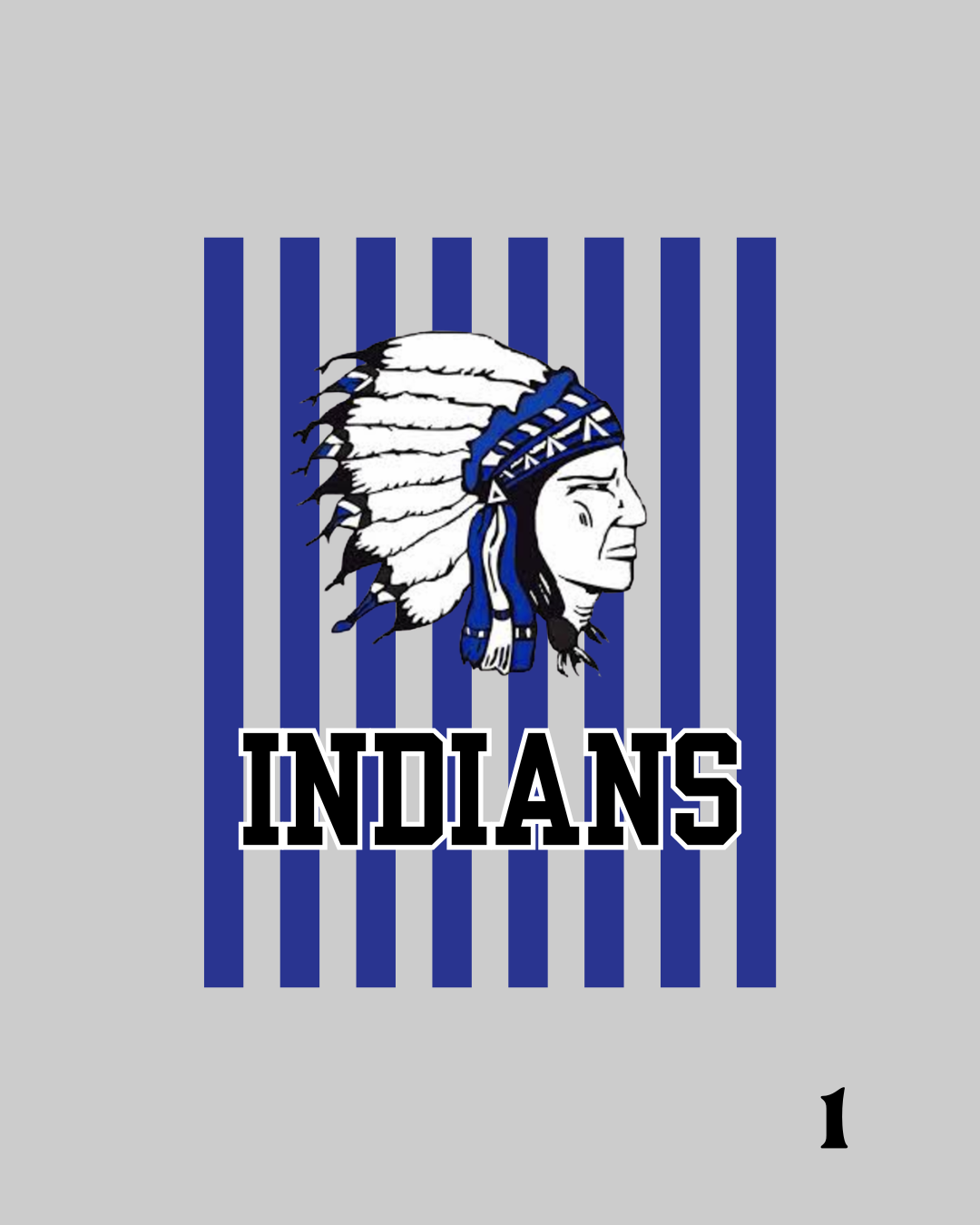 Payson-Seymour High School Tees