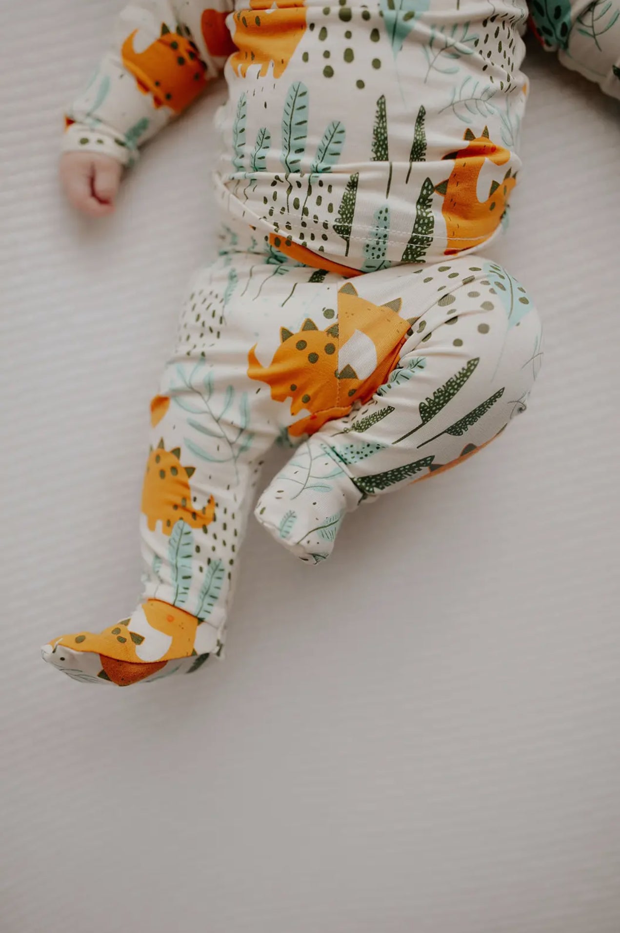 Dinosaur Jammies