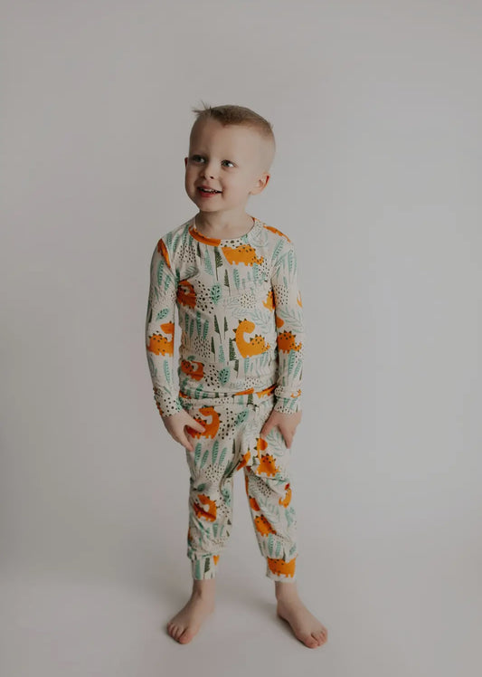 Dinosaur Jammies