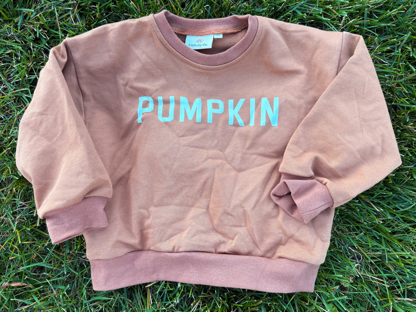 Pumpkin Crewneck Sweatshirt