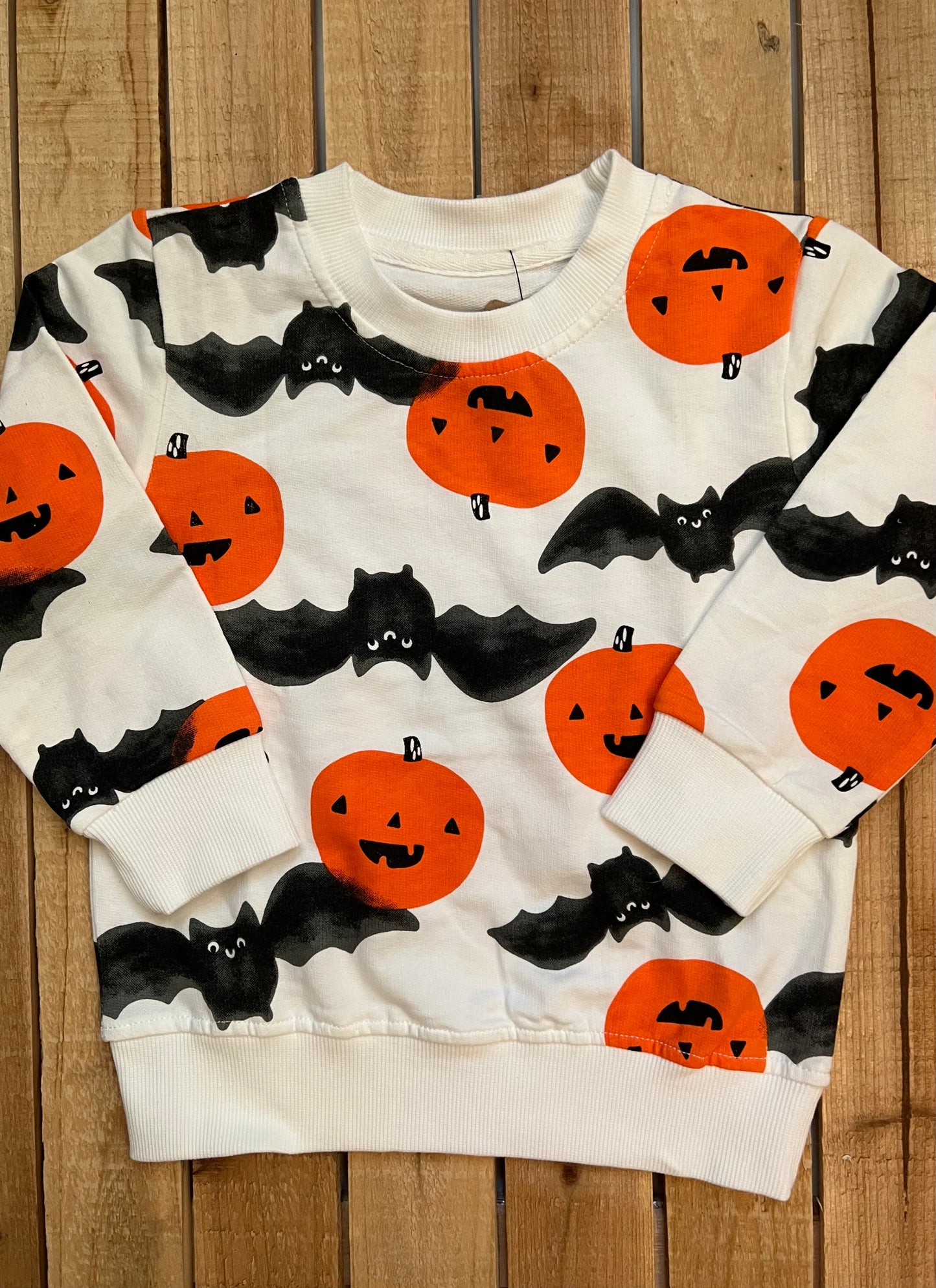 Jack-O-Lantern and Bats Halloween Pullover