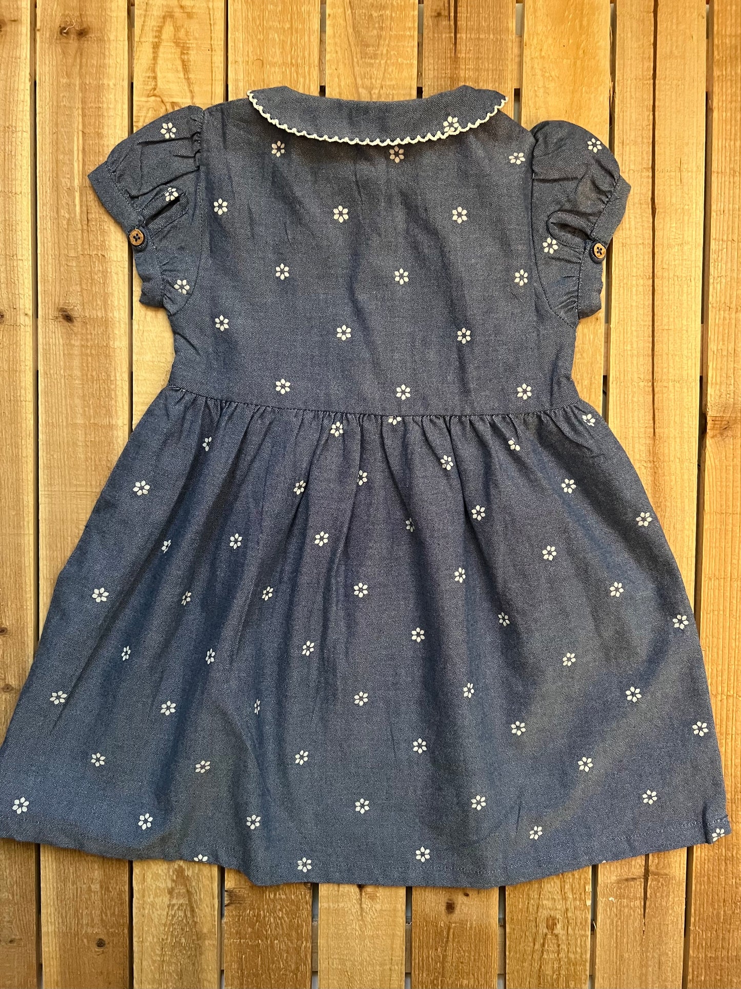 City Mouse Chambray Round Collar Daisies Print Dress