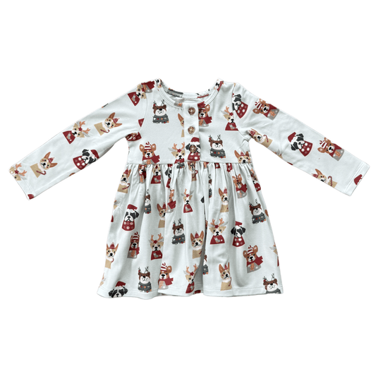 Girl's Long Sleeve Henley Dress