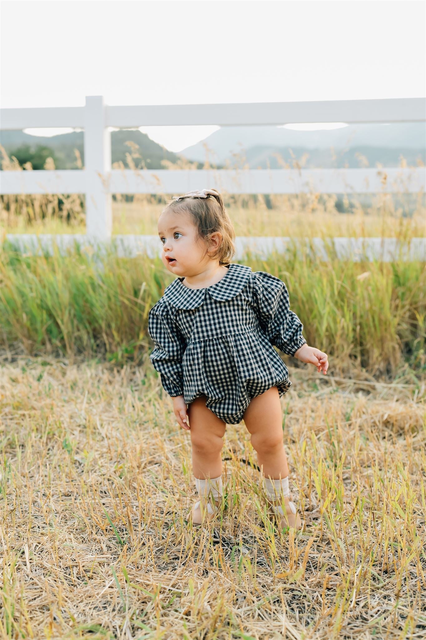 Mebie Baby Gingham Peter Pan Collar Long Sleeve Bubble Romper