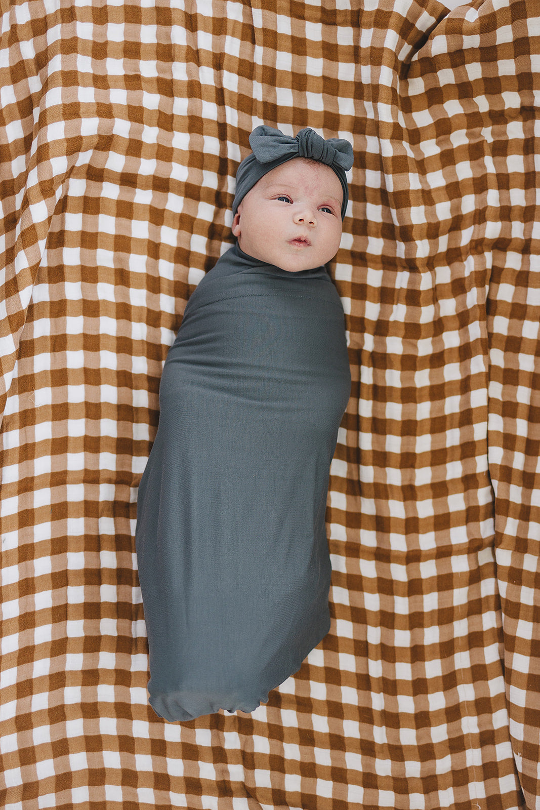 Mebie Baby Gingham Muslin Quilt